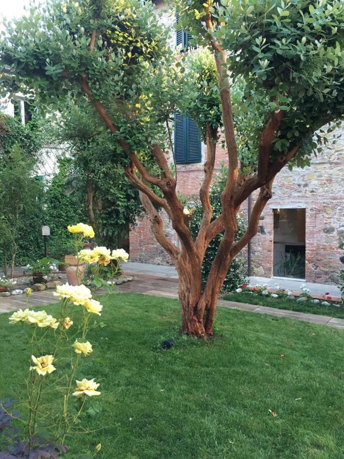 Locanda Del Pesce Briaco, B&B Lucca Luaran gambar