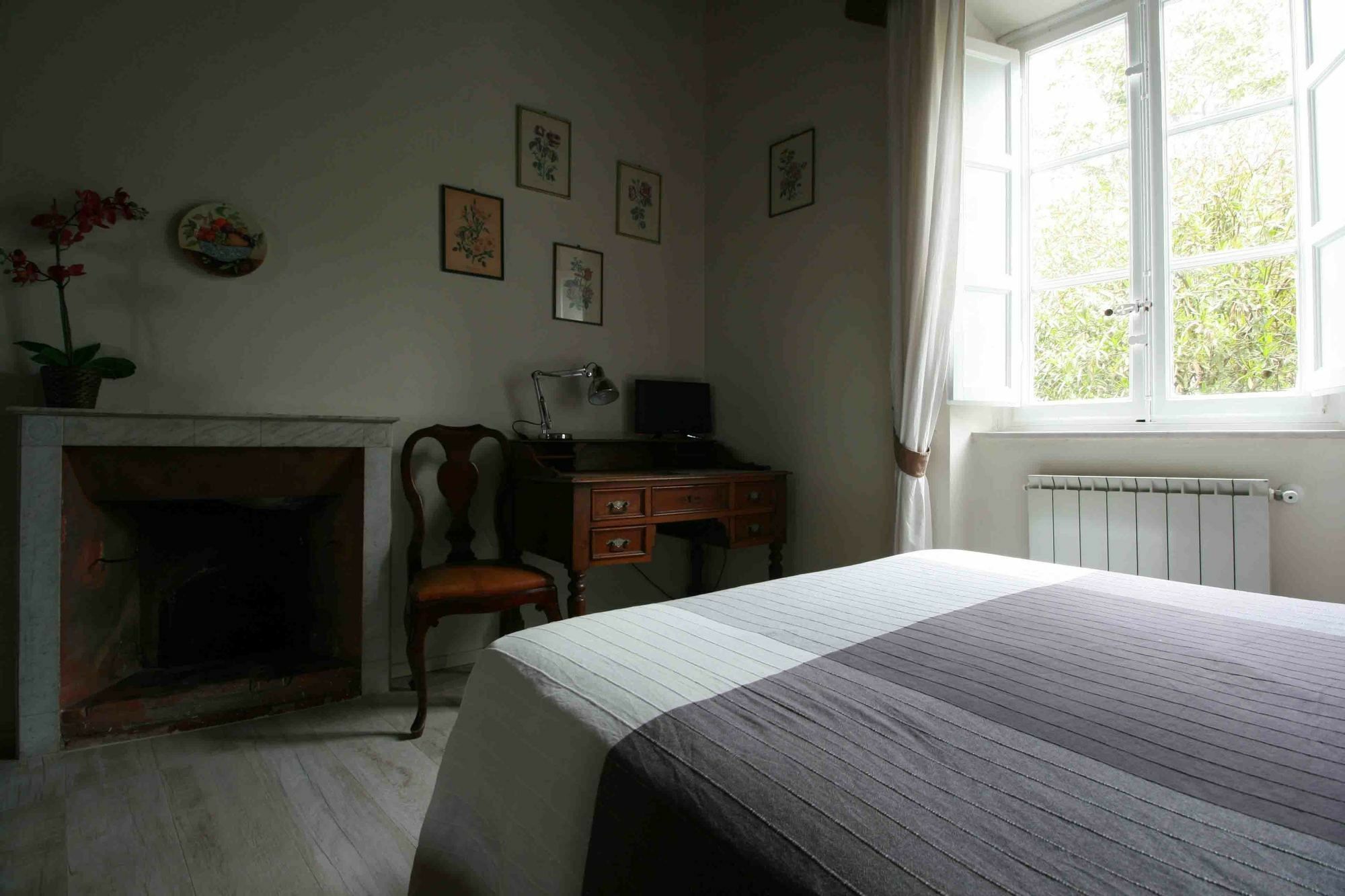 Locanda Del Pesce Briaco, B&B Lucca Luaran gambar